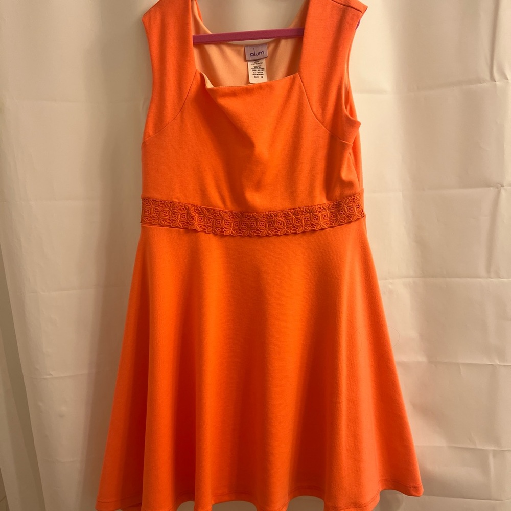 Barely used girls dress by Plum.